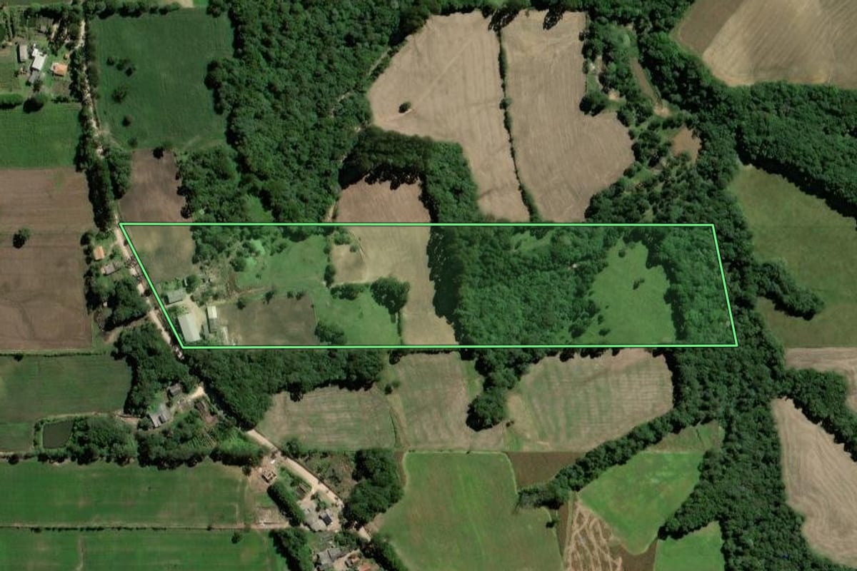 Imagem de satélite do imóvel rural em Palmeira (PR), com o contorno declarado no CAR desenhado por cima.
