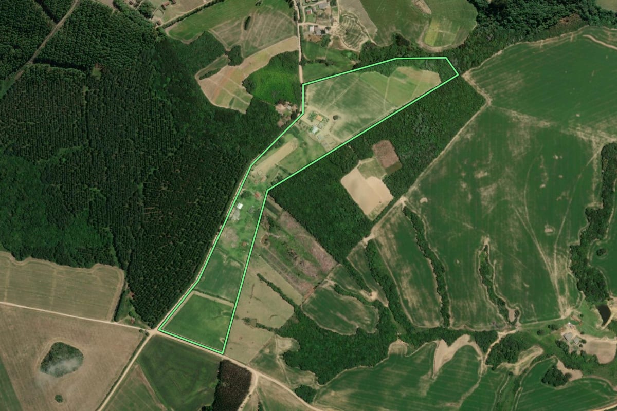 Imagem de satélite do imóvel rural em Palmeira (PR), com o contorno declarado no CAR desenhado por cima.