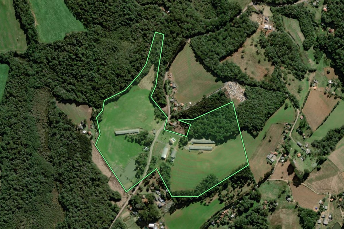Imagem de satélite do imóvel rural em Palmeira (PR), com o contorno declarado no CAR desenhado por cima.