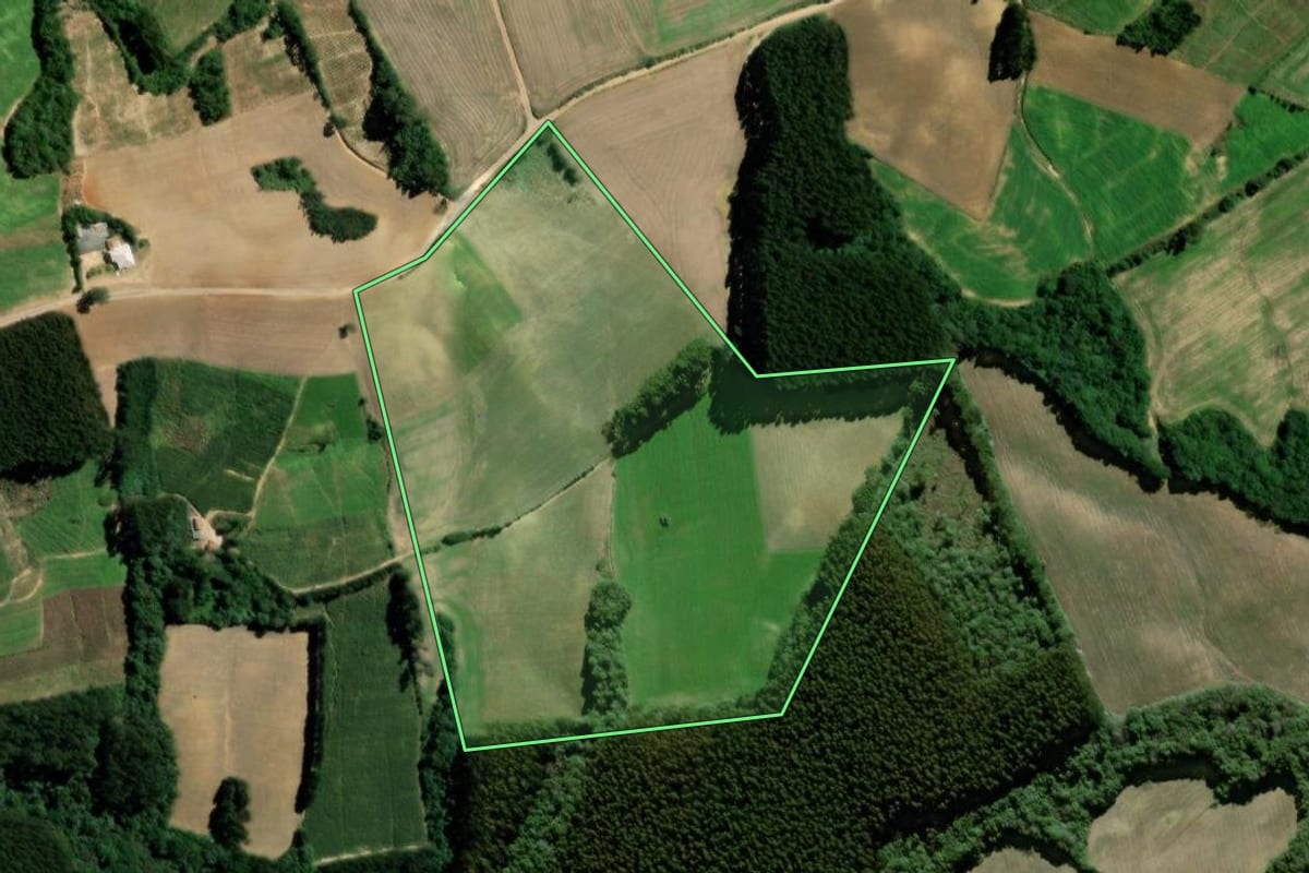 Imagem de satélite do imóvel rural em Palmeira (PR), com o contorno declarado no CAR desenhado por cima.