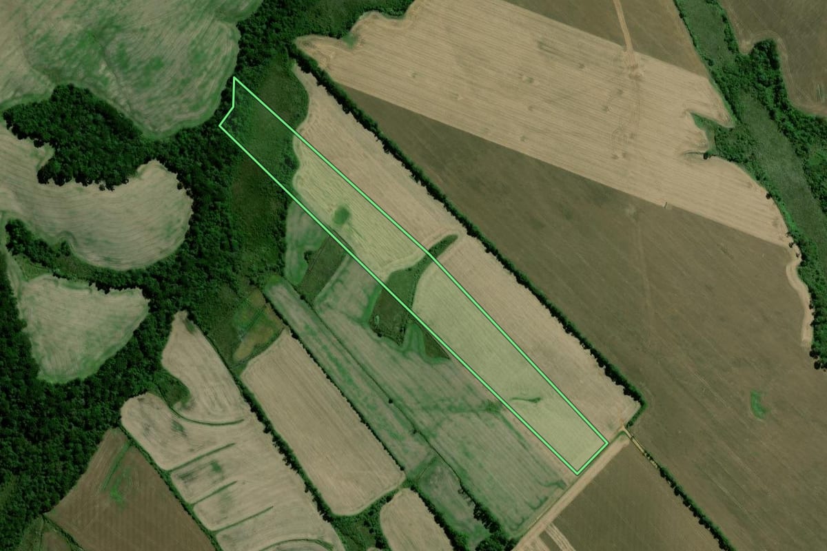 Imagem de satélite do imóvel rural em Palmeira (PR), com o contorno declarado no CAR desenhado por cima.