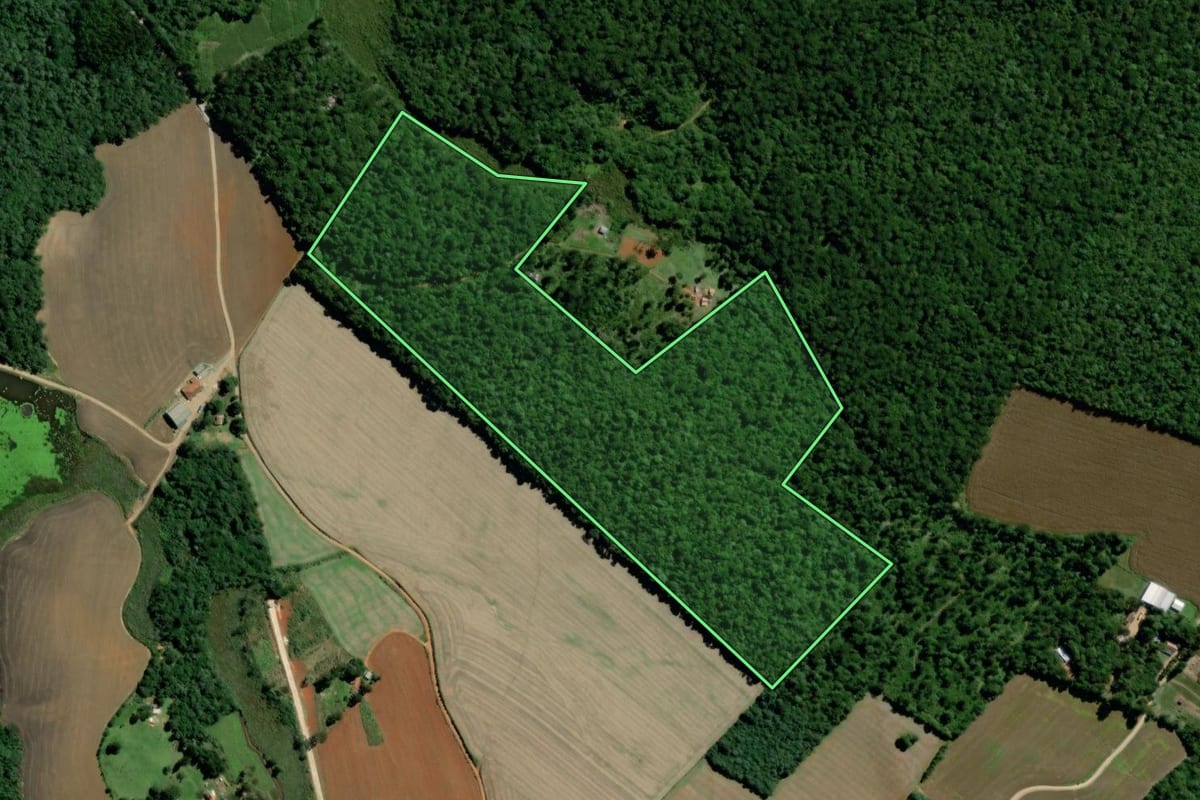 Imagem de satélite do imóvel rural em Palmeira (PR), com o contorno declarado no CAR desenhado por cima.