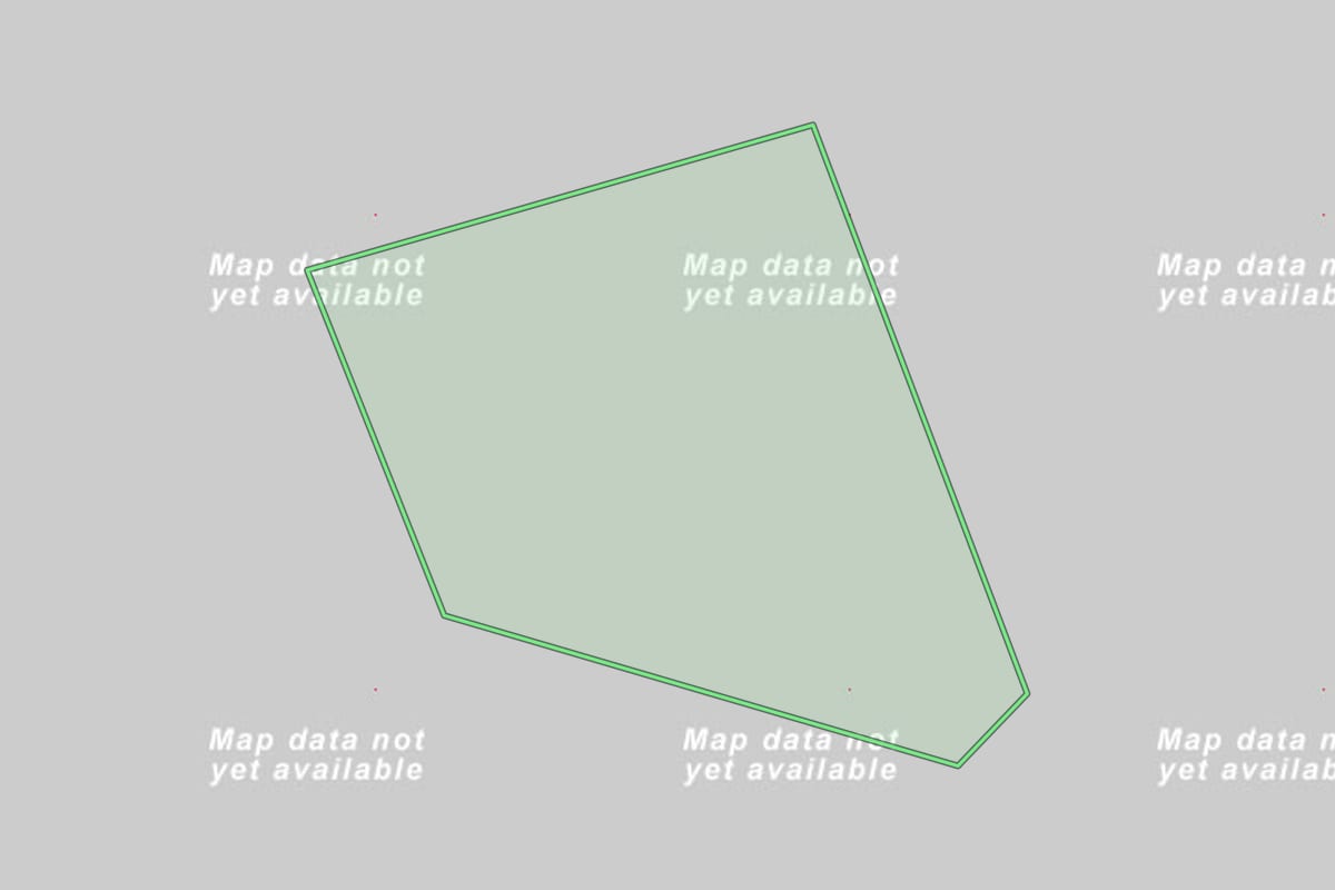 Imagem de satélite do imóvel rural em Palmeira (PR), com o contorno declarado no CAR desenhado por cima.