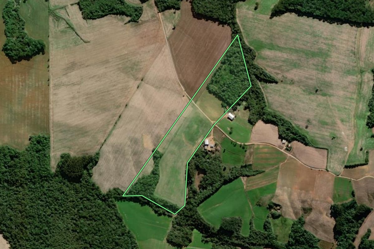Imagem de satélite do imóvel rural em Palmeira (PR), com o contorno declarado no CAR desenhado por cima.
