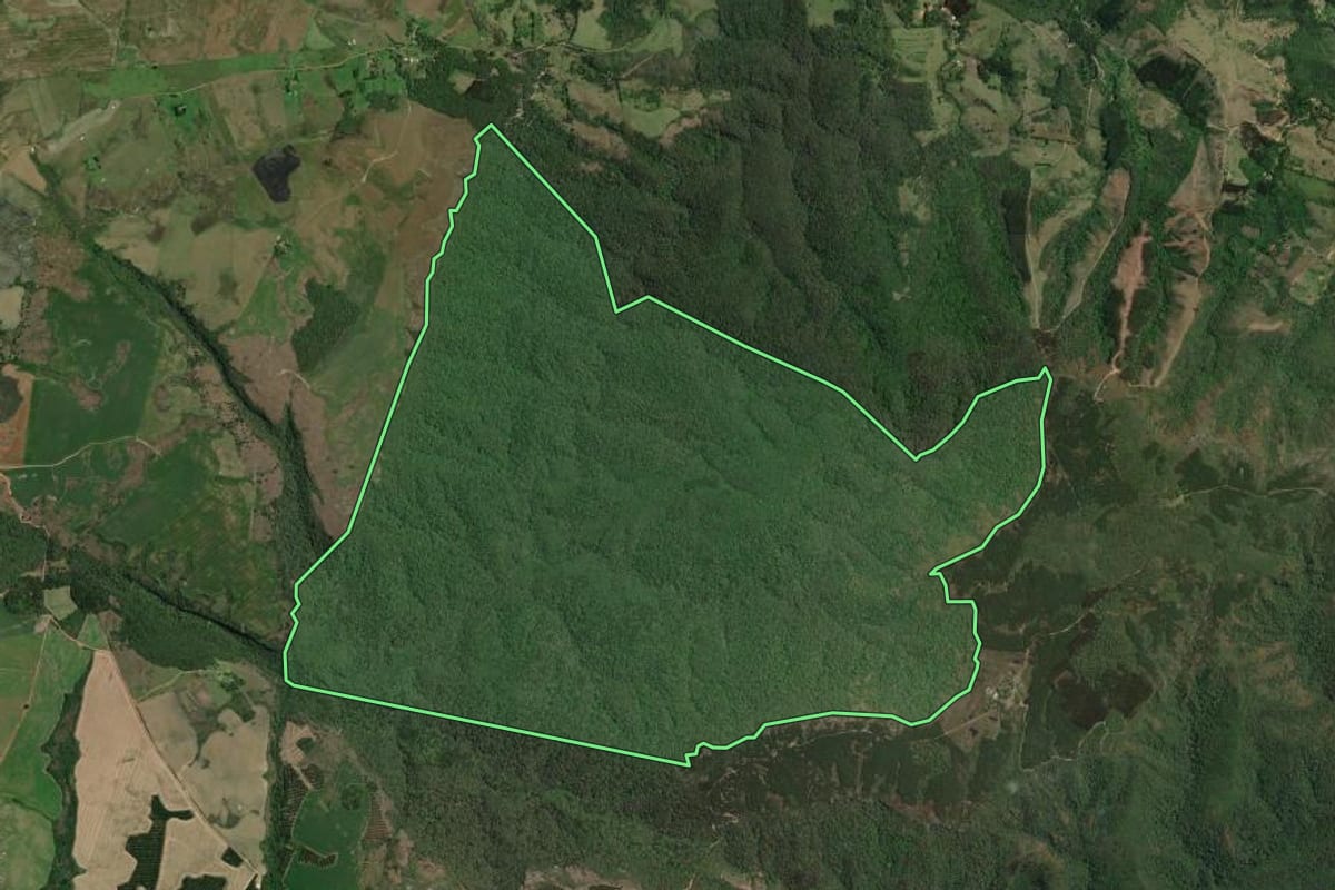 Imagem de satélite do imóvel rural em Palmeira (PR), com o contorno declarado no CAR desenhado por cima.