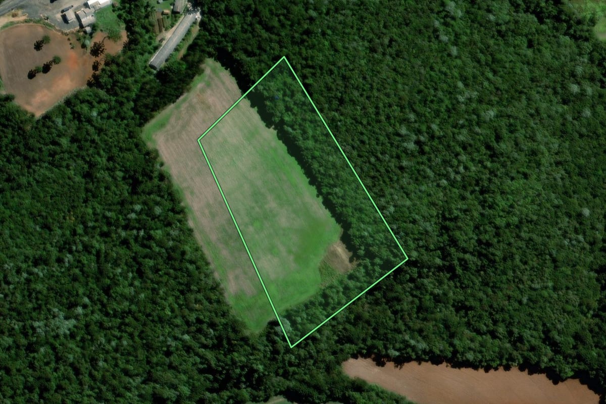 Imagem de satélite do imóvel rural em Palmeira (PR), com o contorno declarado no CAR desenhado por cima.
