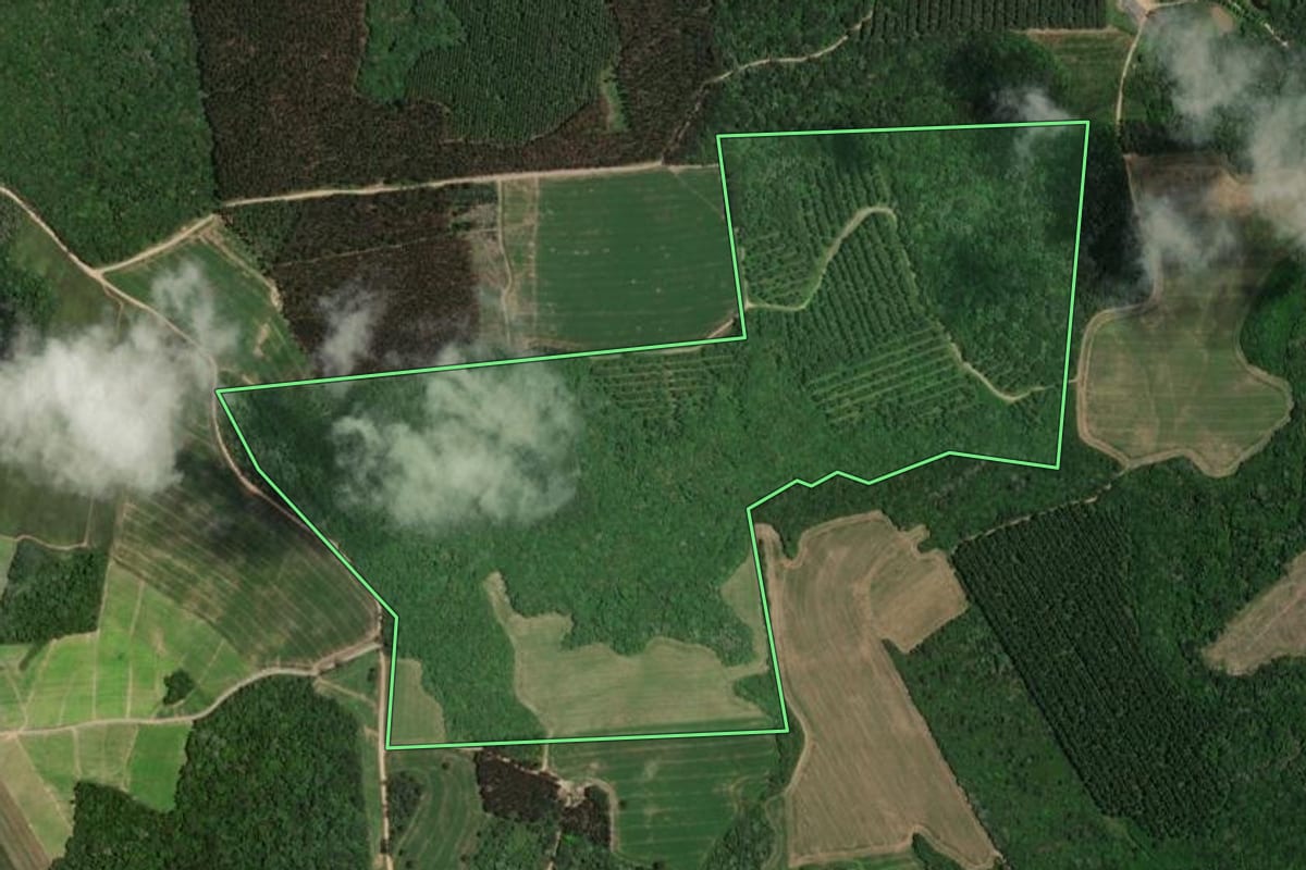 Imagem de satélite do imóvel rural em Palmeira (PR), com o contorno declarado no CAR desenhado por cima.