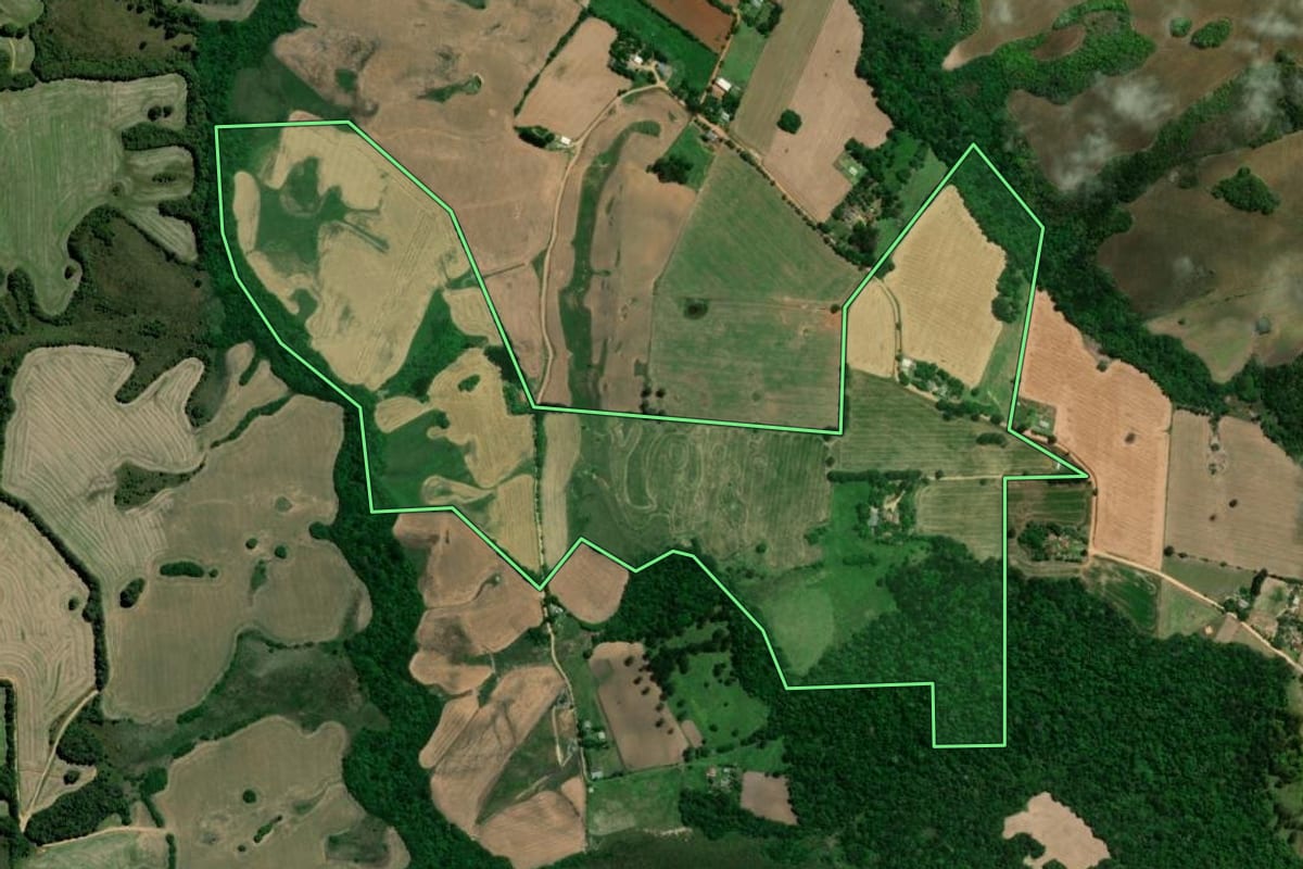 Imagem de satélite do imóvel rural em Palmeira (PR), com o contorno declarado no CAR desenhado por cima.