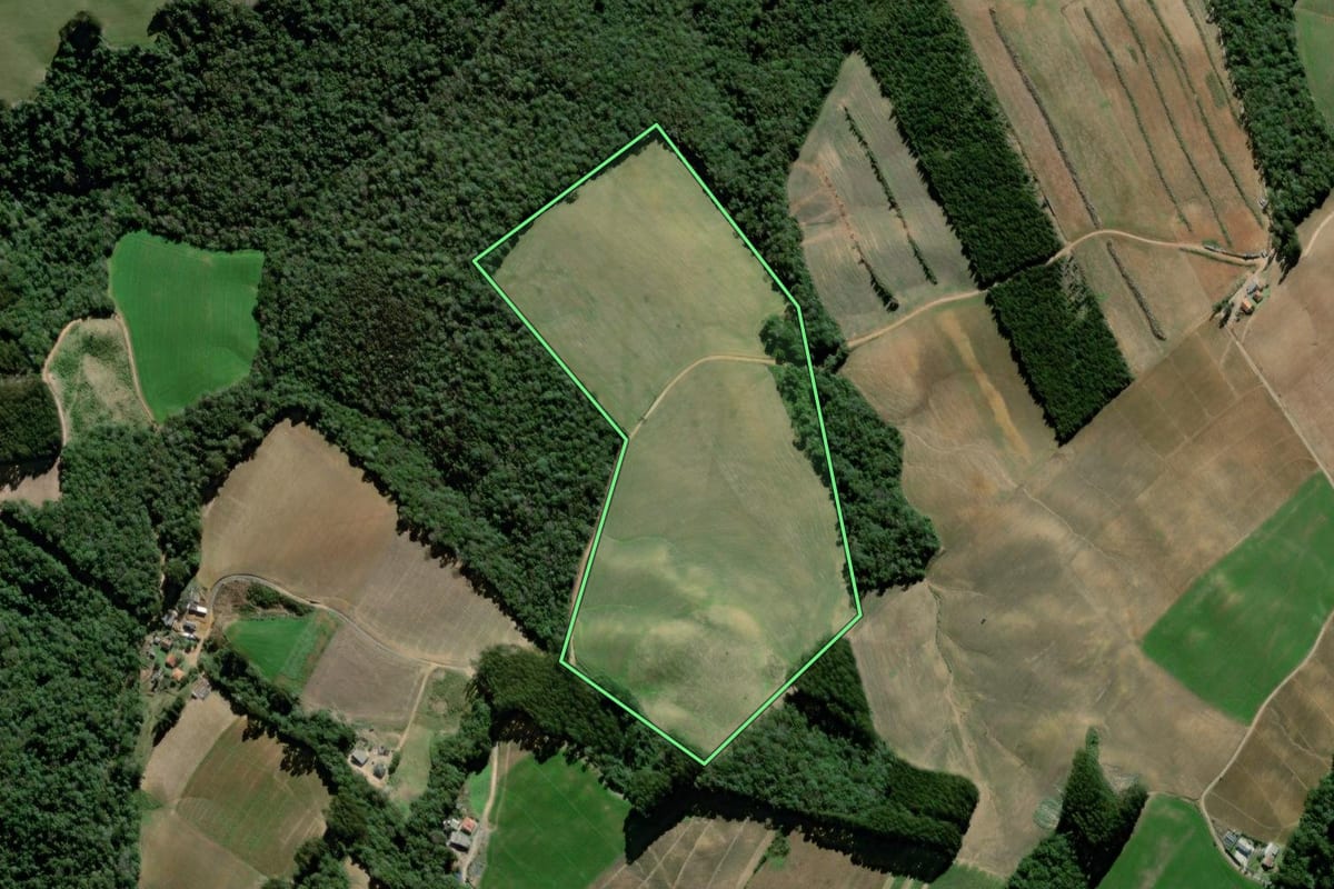 Imagem de satélite do imóvel rural em Palmeira (PR), com o contorno declarado no CAR desenhado por cima.