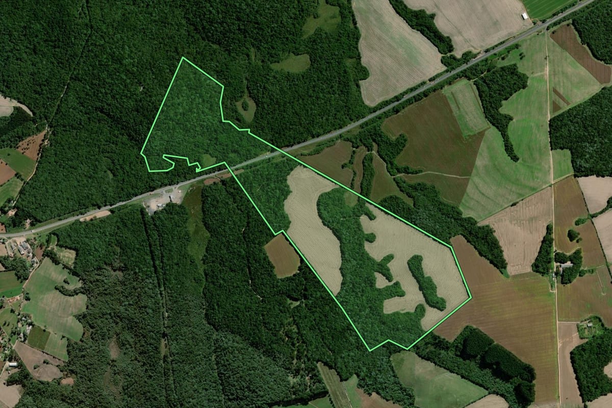 Imagem de satélite do imóvel rural em Palmeira (PR), com o contorno declarado no CAR desenhado por cima.