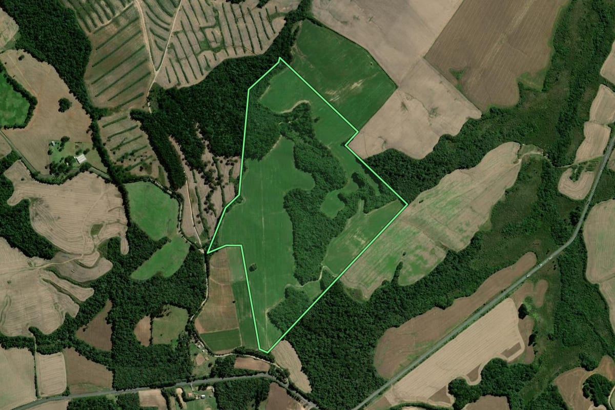 Imagem de satélite do imóvel rural em Palmeira (PR), com o contorno declarado no CAR desenhado por cima.