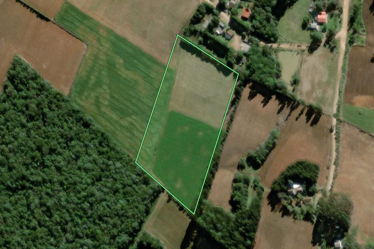 Imagem de satélite do imóvel rural em Palmeira (PR), com o contorno declarado no CAR desenhado por cima.