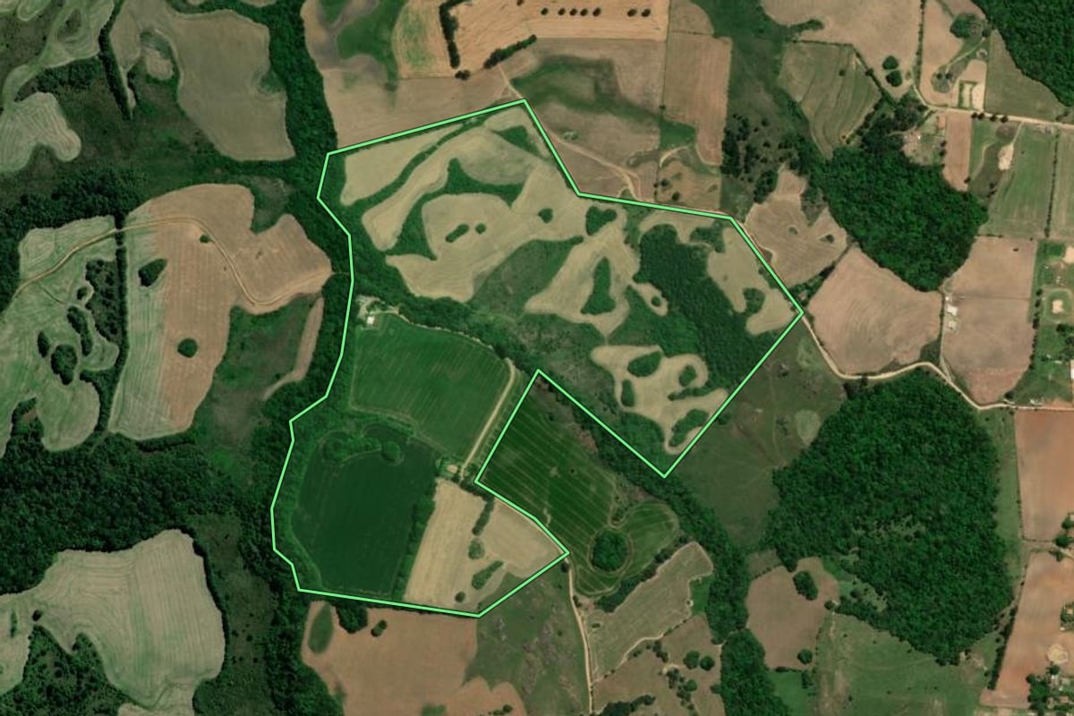 Imagem de satélite do imóvel rural em Palmeira (PR), com o contorno declarado no CAR desenhado por cima.