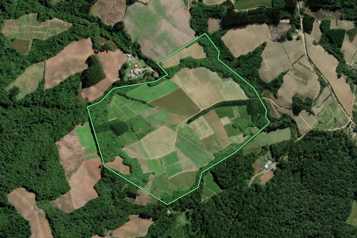 Imagem de satélite do imóvel rural em Palmeira (PR), com o contorno declarado no CAR desenhado por cima.