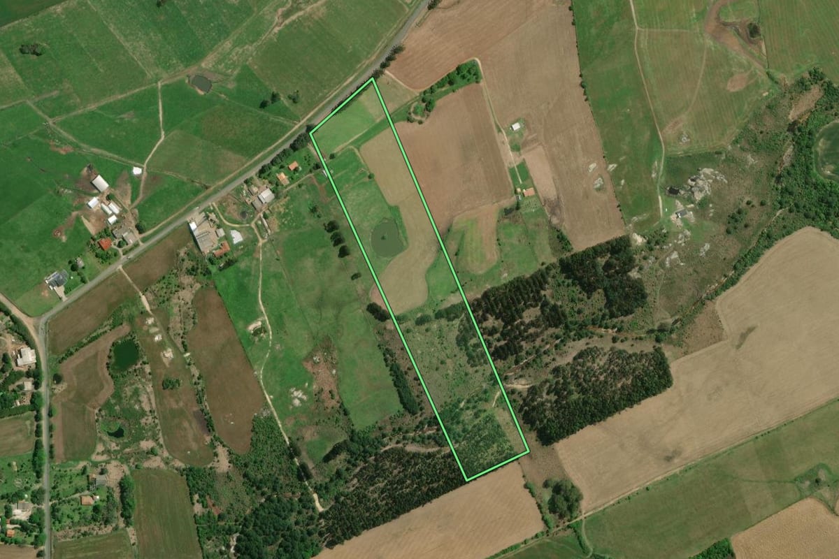 Imagem de satélite do imóvel rural em Palmeira (PR), com o contorno declarado no CAR desenhado por cima.