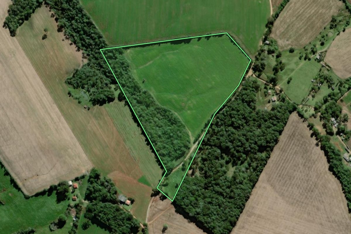 Imagem de satélite do imóvel rural em Palmeira (PR), com o contorno declarado no CAR desenhado por cima.