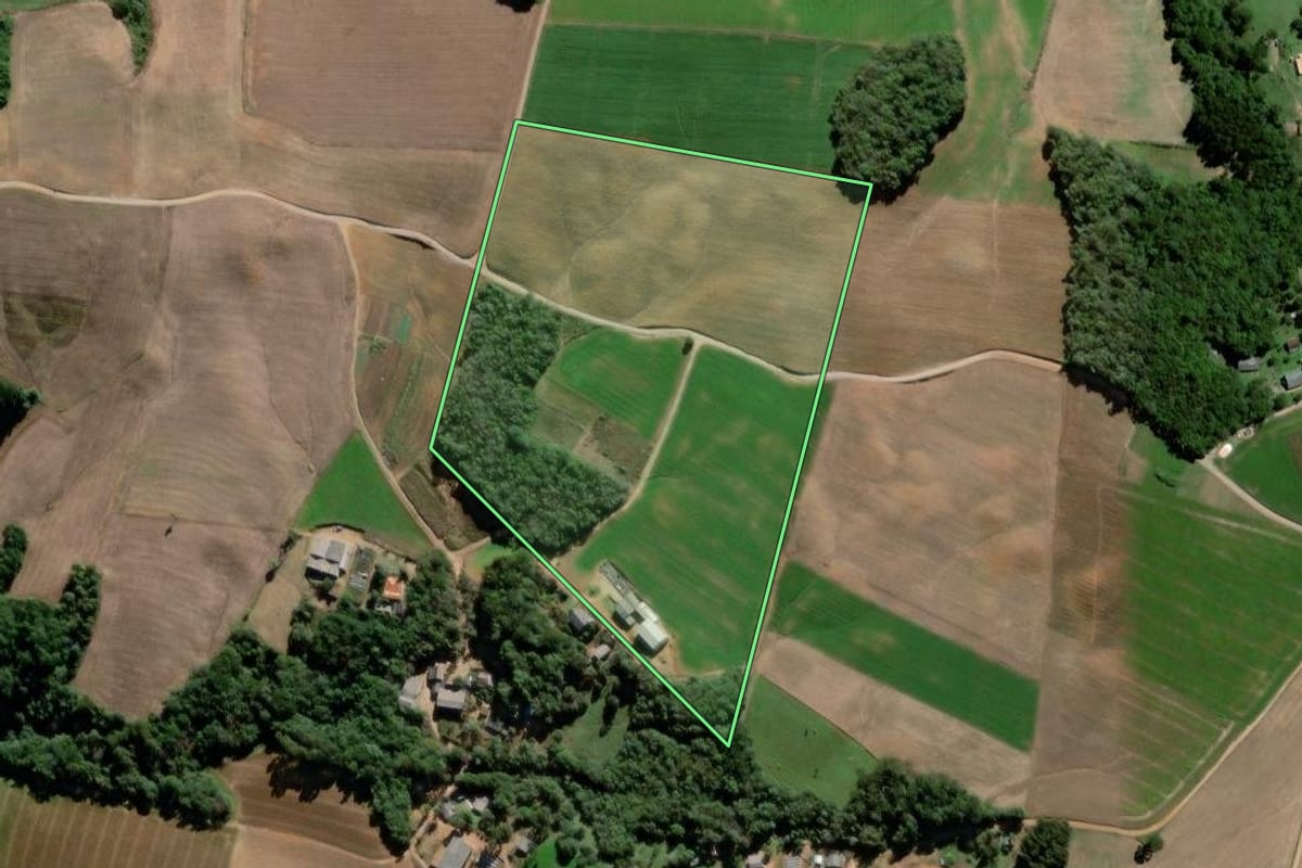 Imagem de satélite do imóvel rural em Palmeira (PR), com o contorno declarado no CAR desenhado por cima.