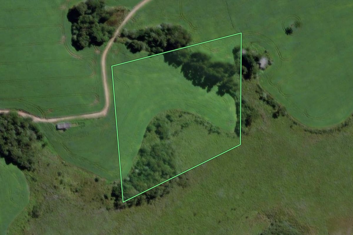 Imagem de satélite do imóvel rural em Palmeira (PR), com o contorno declarado no CAR desenhado por cima.