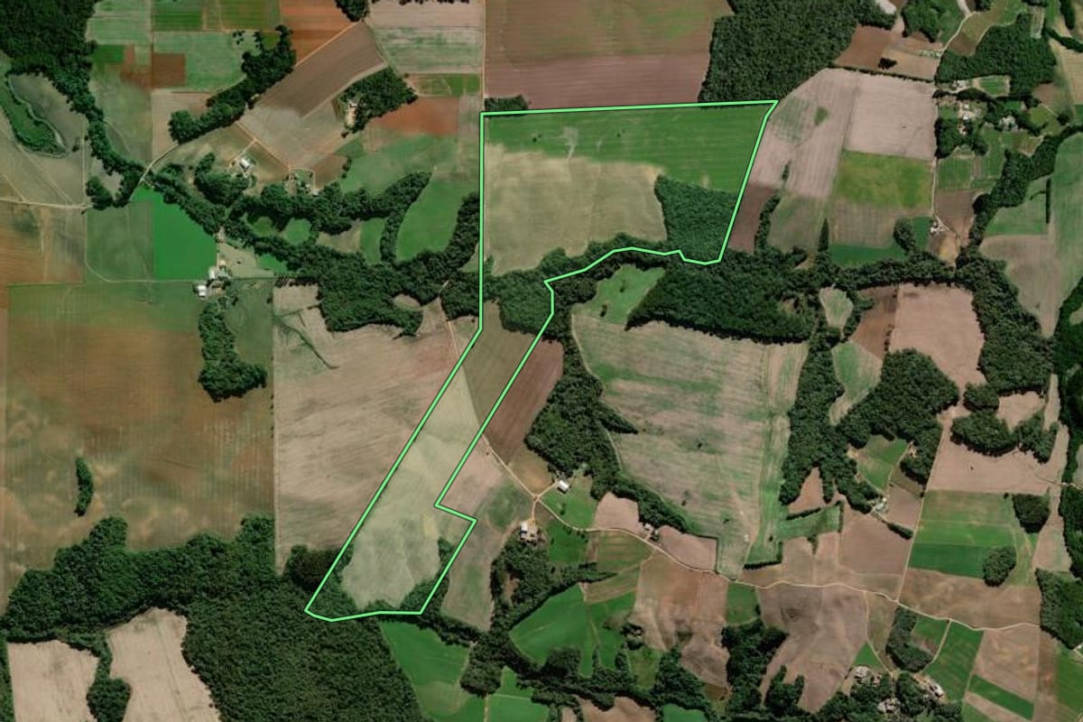 Imagem de satélite do imóvel rural em Palmeira (PR), com o contorno declarado no CAR desenhado por cima.