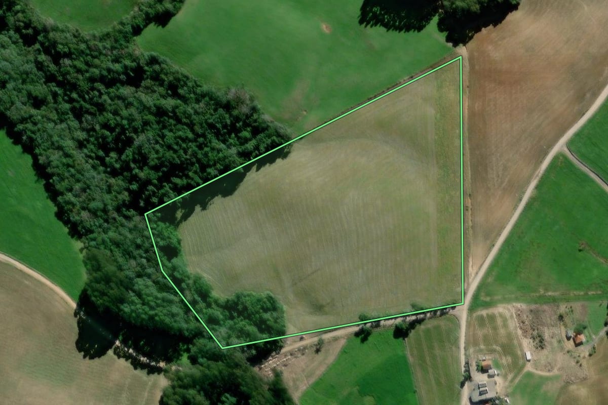 Imagem de satélite do imóvel rural em Palmeira (PR), com o contorno declarado no CAR desenhado por cima.