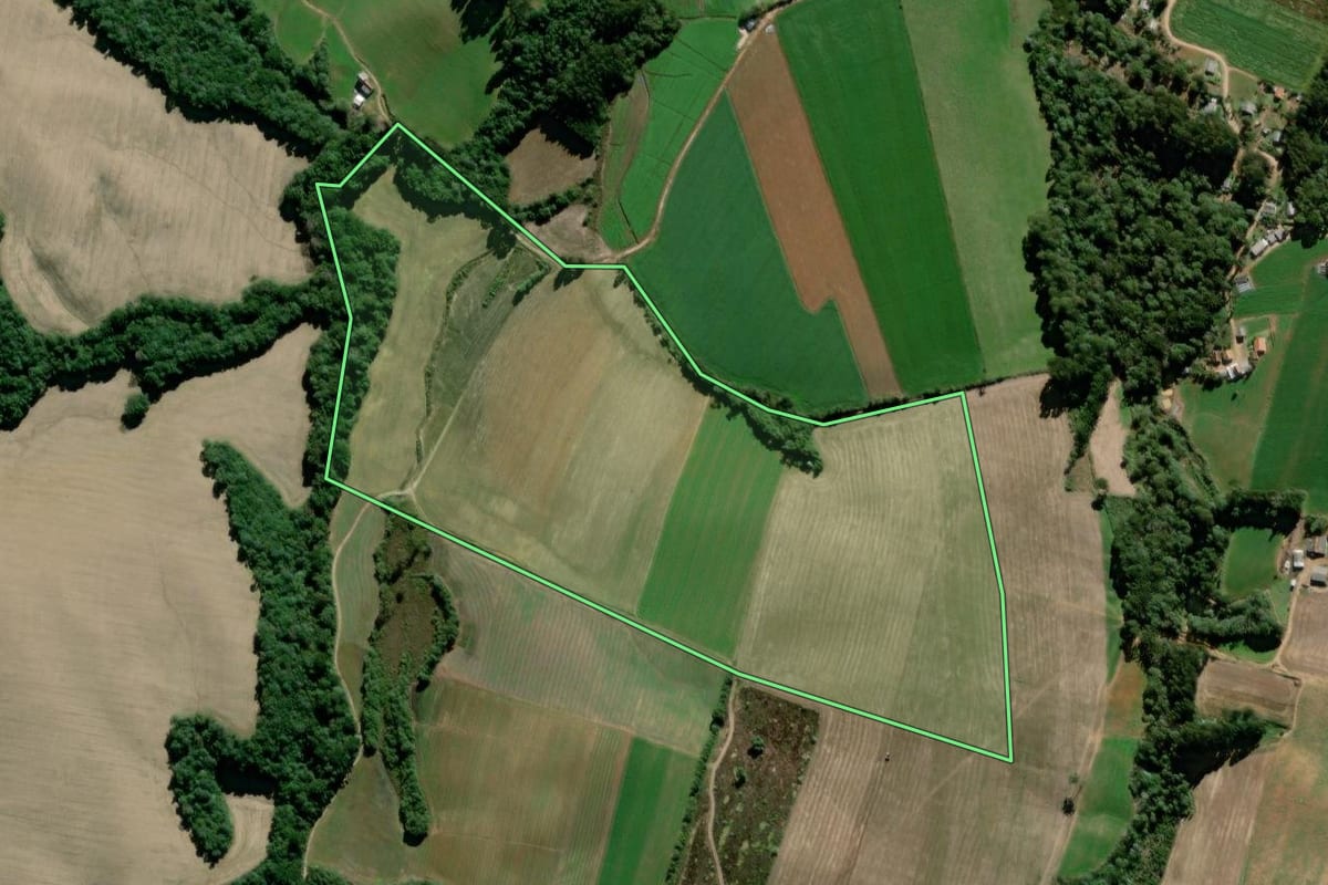 Imagem de satélite do imóvel rural em Palmeira (PR), com o contorno declarado no CAR desenhado por cima.