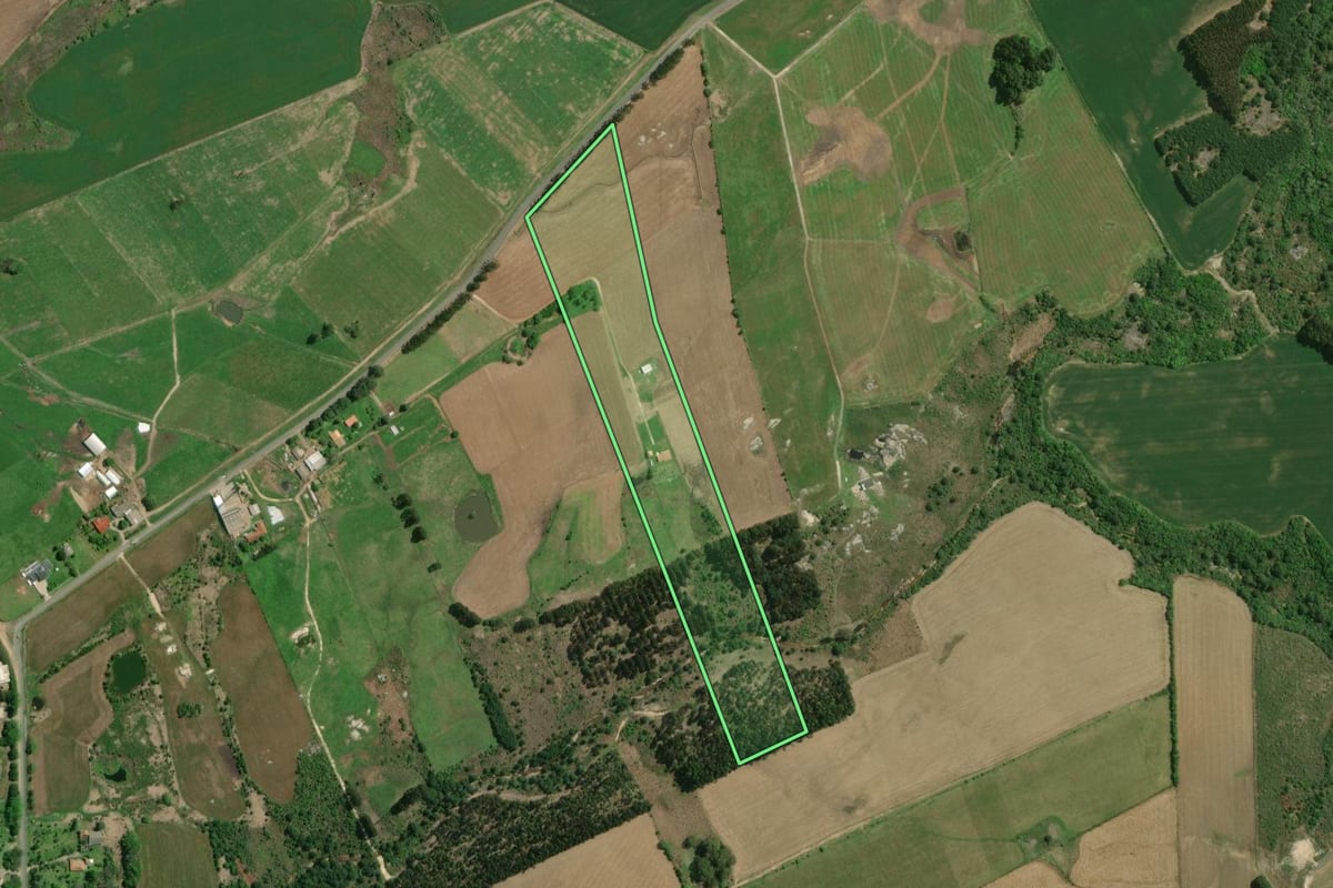 Imagem de satélite do imóvel rural em Palmeira (PR), com o contorno declarado no CAR desenhado por cima.