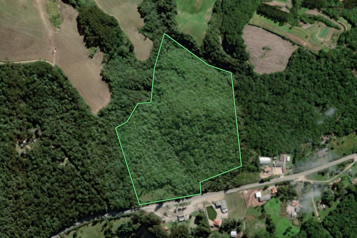 Imagem de satélite do imóvel rural em Palmeira (PR), com o contorno declarado no CAR desenhado por cima.