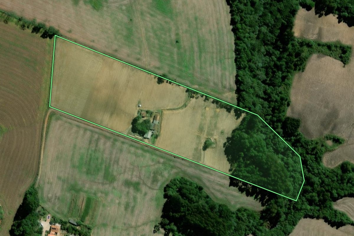 Imagem de satélite do imóvel rural em Palmeira (PR), com o contorno declarado no CAR desenhado por cima.