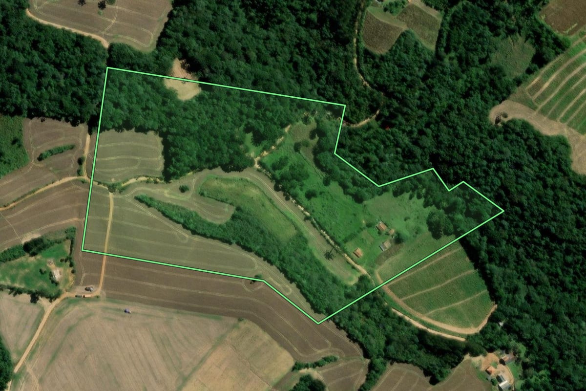 Imagem de satélite do imóvel rural em Palmeira (PR), com o contorno declarado no CAR desenhado por cima.