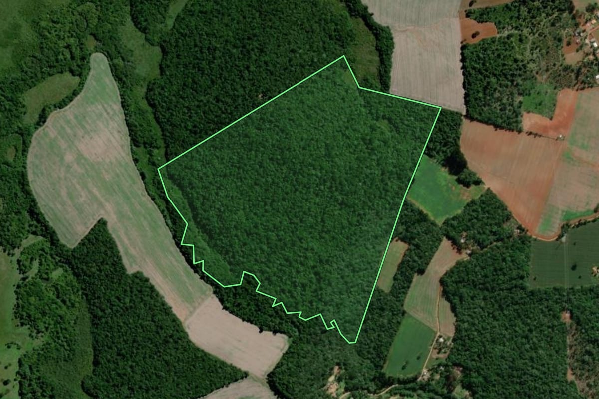 Imagem de satélite do imóvel rural em Palmeira (PR), com o contorno declarado no CAR desenhado por cima.