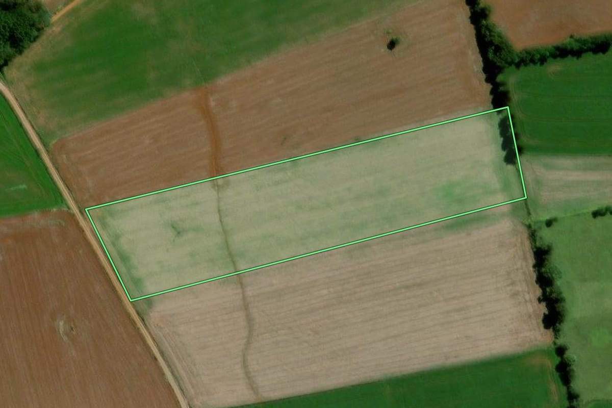 Imagem de satélite do imóvel rural em Palmeira (PR), com o contorno declarado no CAR desenhado por cima.