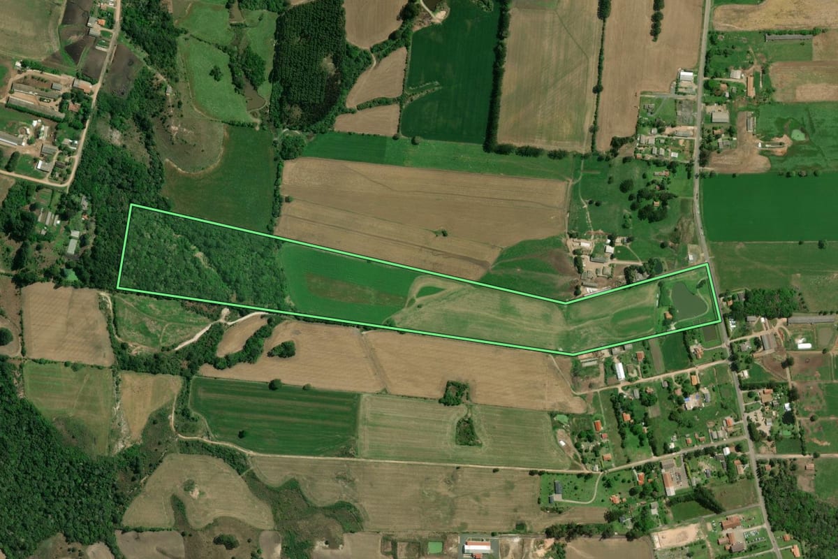 Imagem de satélite do imóvel rural em Palmeira (PR), com o contorno declarado no CAR desenhado por cima.