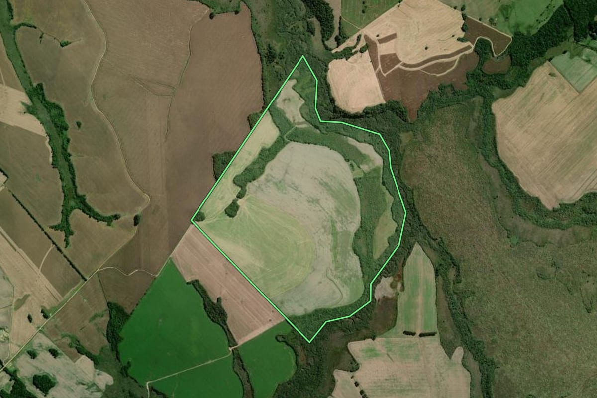 Imagem de satélite do imóvel rural em Palmeira (PR), com o contorno declarado no CAR desenhado por cima.