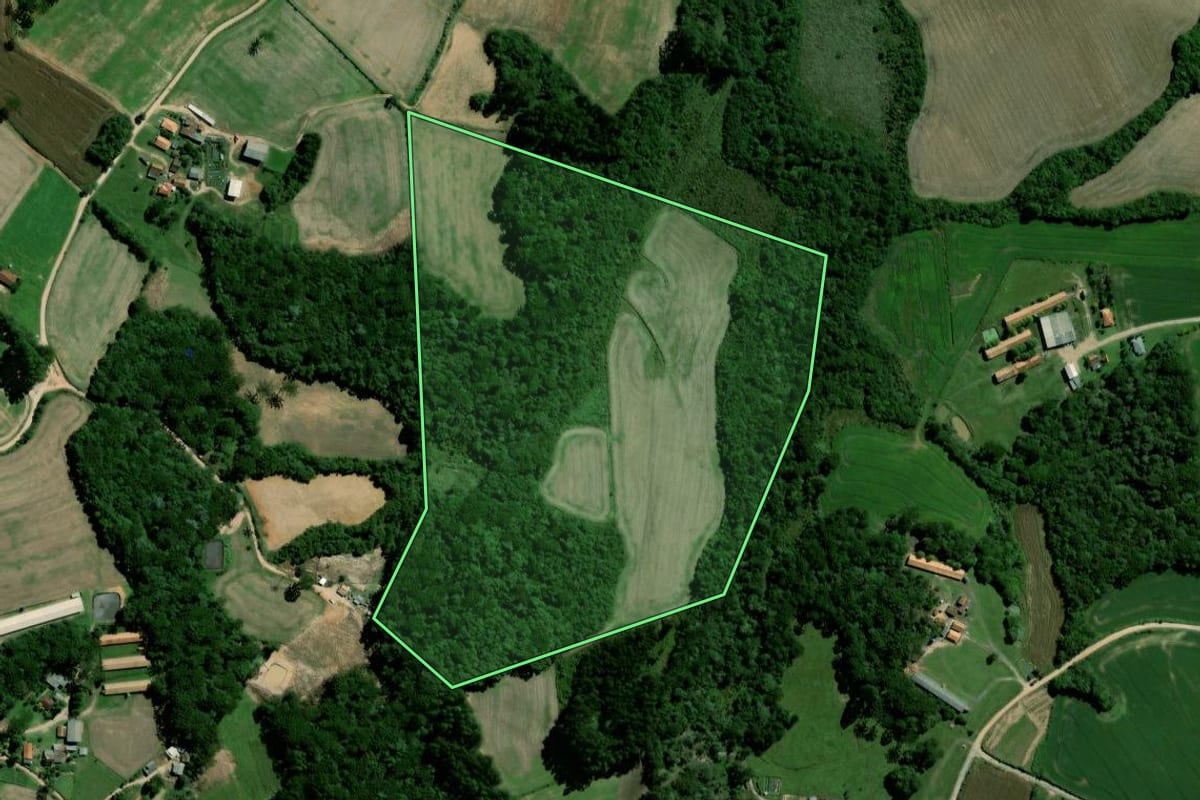 Imagem de satélite do imóvel rural em Palmeira (PR), com o contorno declarado no CAR desenhado por cima.