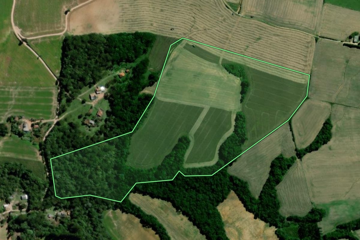 Imagem de satélite do imóvel rural em Palmeira (PR), com o contorno declarado no CAR desenhado por cima.