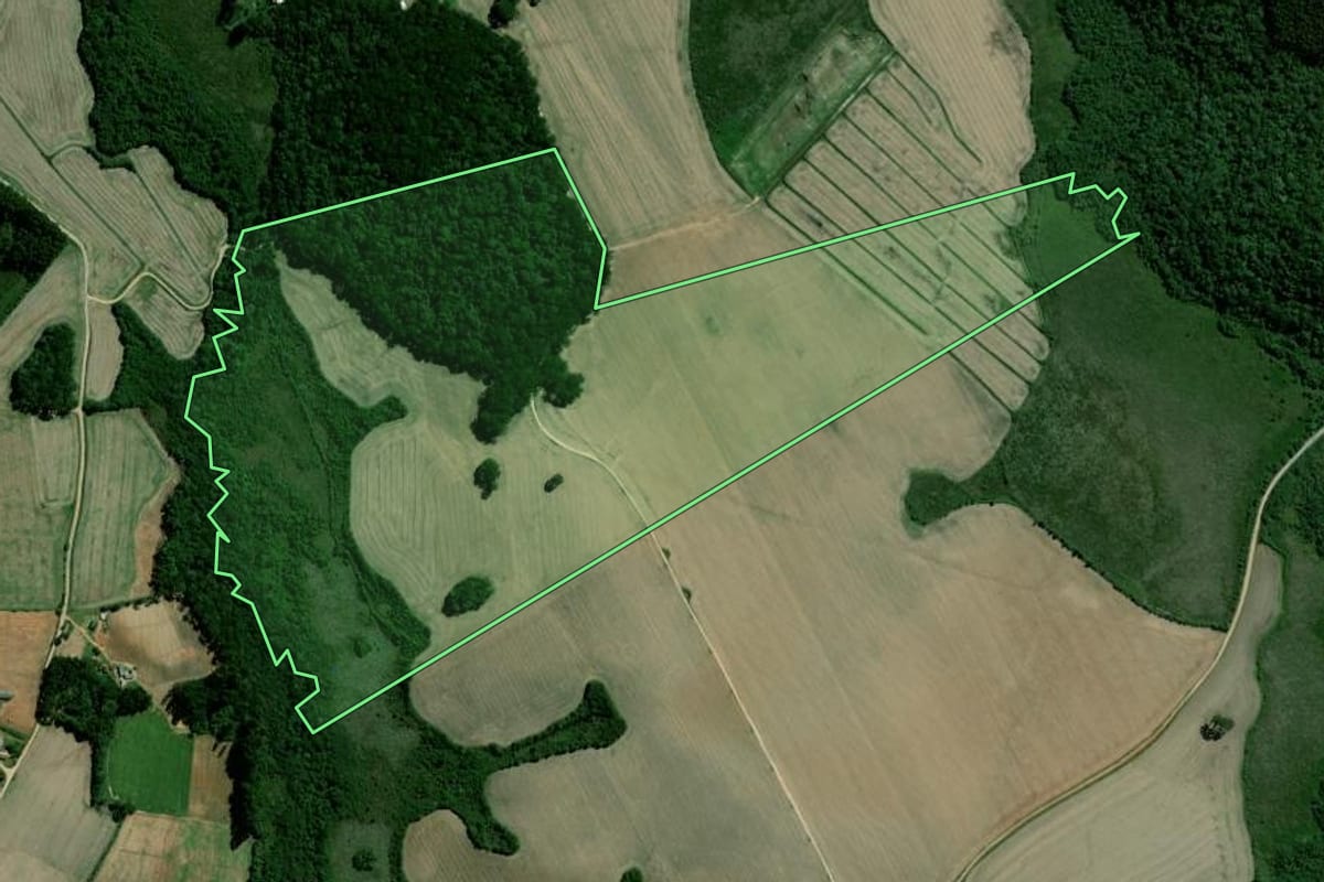 Imagem de satélite do imóvel rural em Palmeira (PR), com o contorno declarado no CAR desenhado por cima.