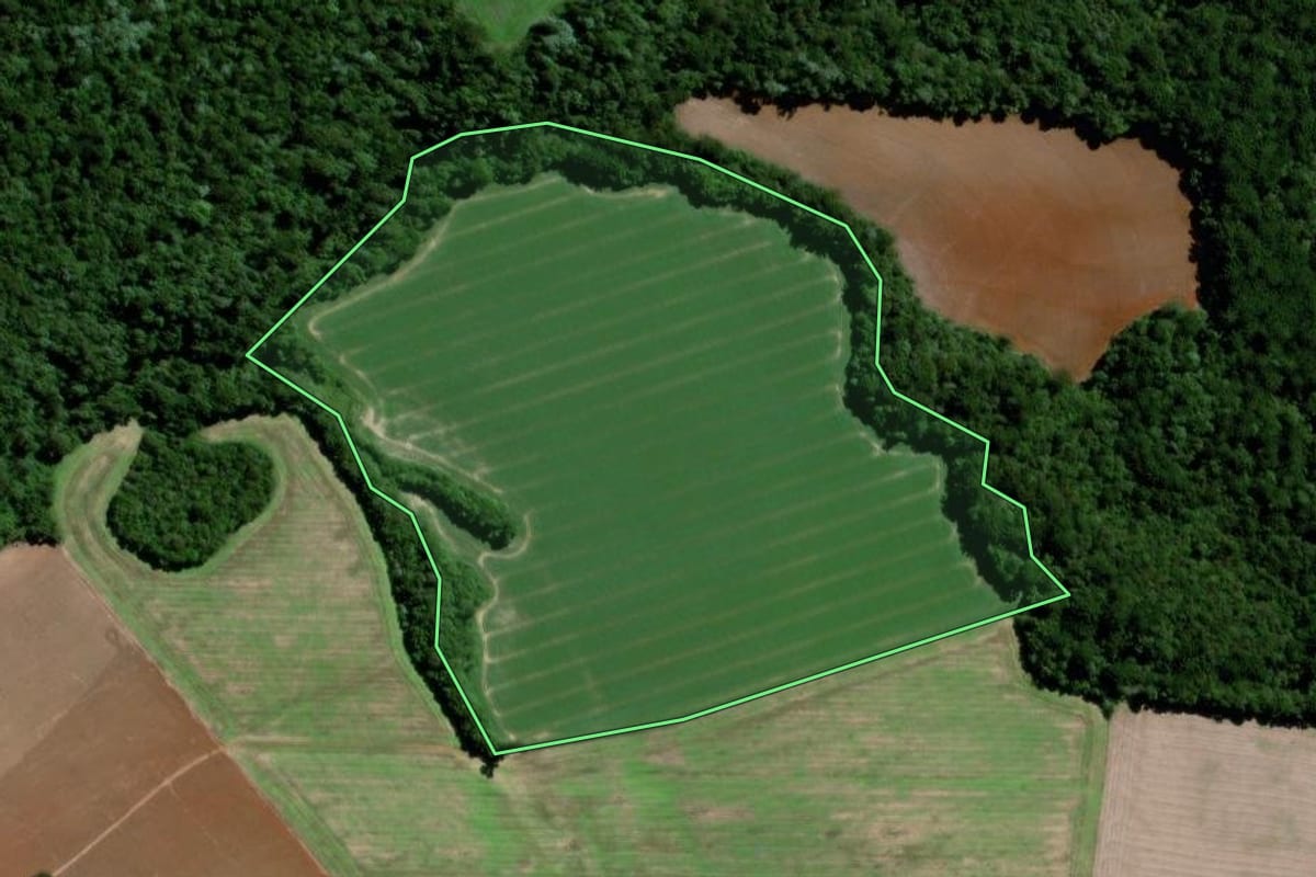 Imagem de satélite do imóvel rural em Palmeira (PR), com o contorno declarado no CAR desenhado por cima.