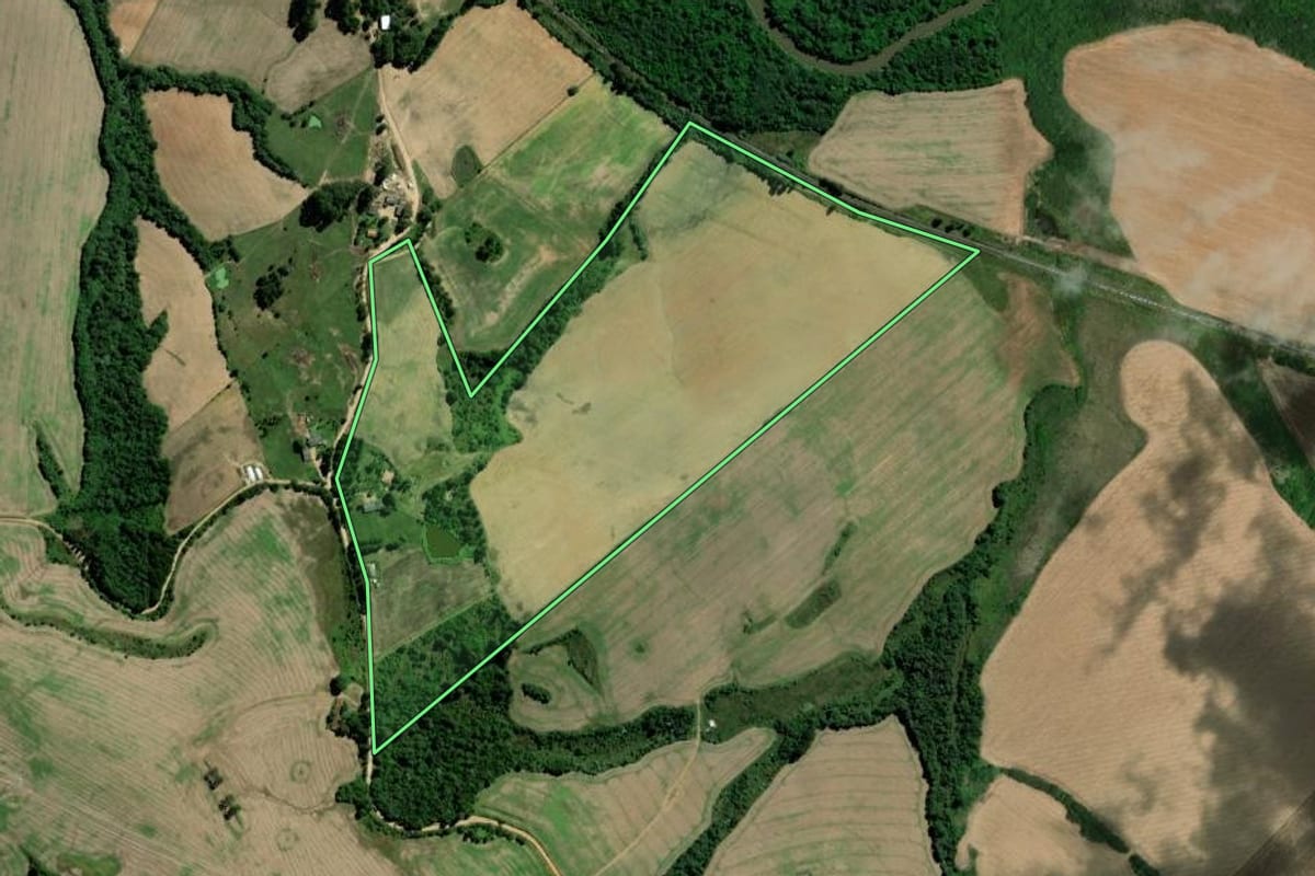 Imagem de satélite do imóvel rural em Palmeira (PR), com o contorno declarado no CAR desenhado por cima.