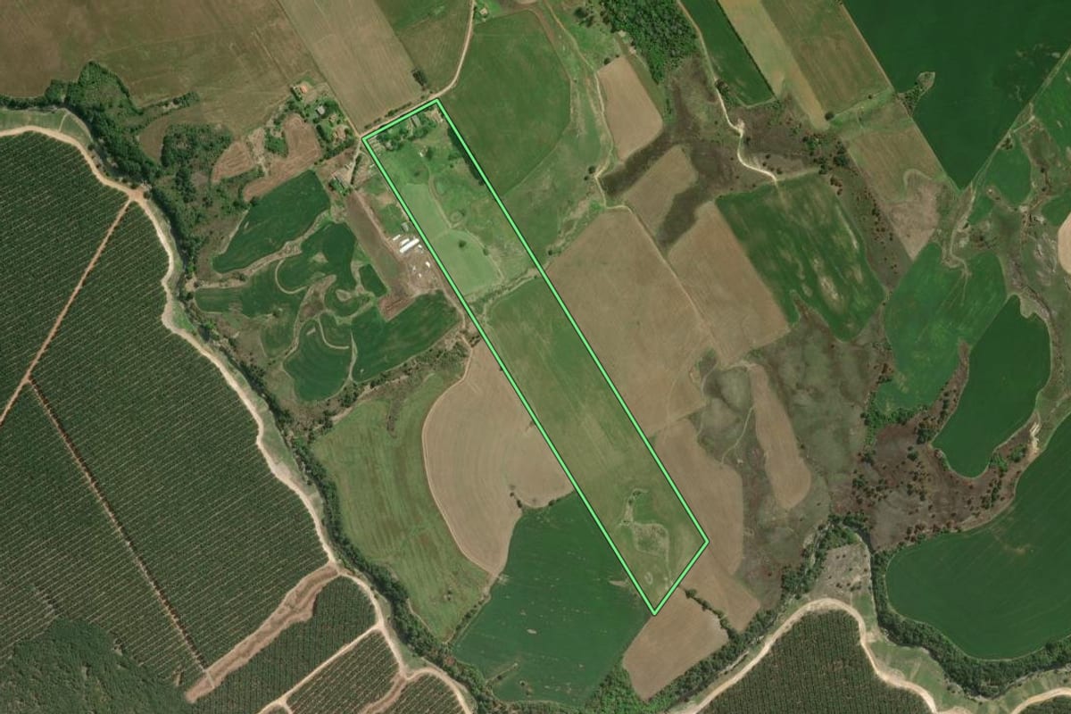 Imagem de satélite do imóvel rural em Palmeira (PR), com o contorno declarado no CAR desenhado por cima.