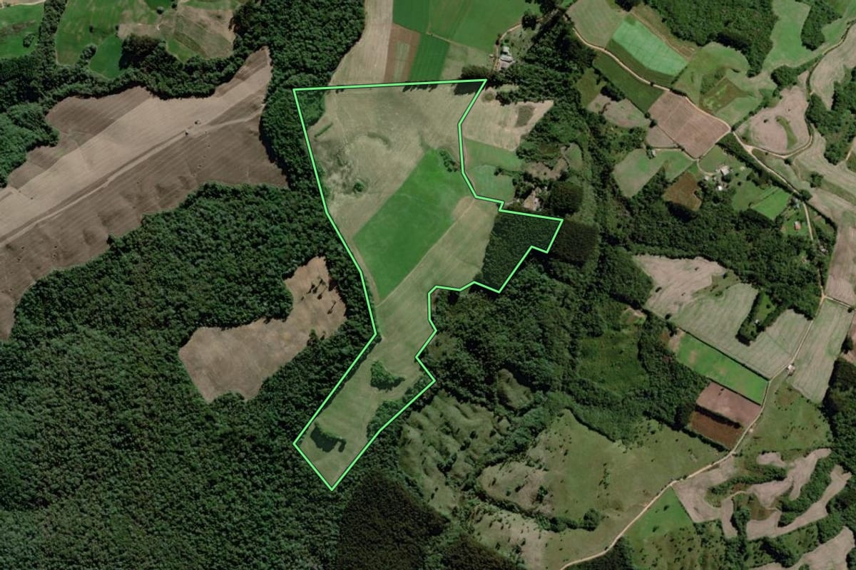 Imagem de satélite do imóvel rural em Palmeira (PR), com o contorno declarado no CAR desenhado por cima.