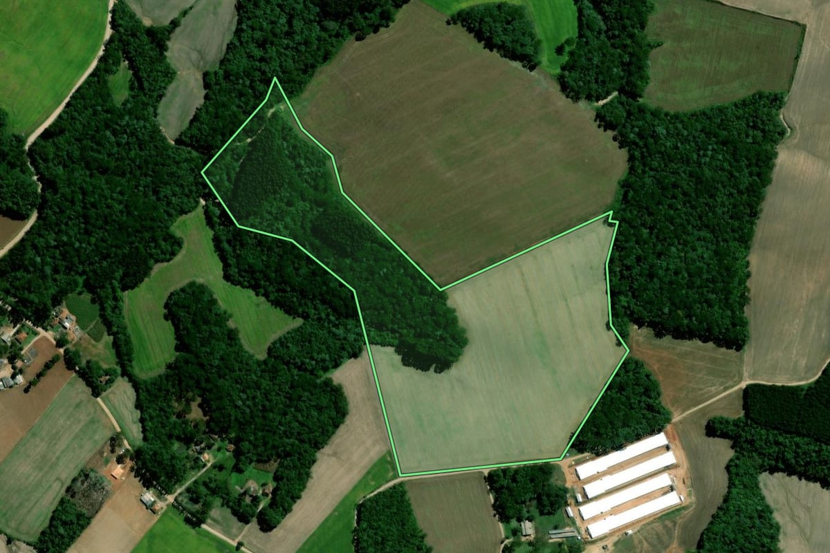 Imagem de satélite do imóvel rural em Palmeira (PR), com o contorno declarado no CAR desenhado por cima.