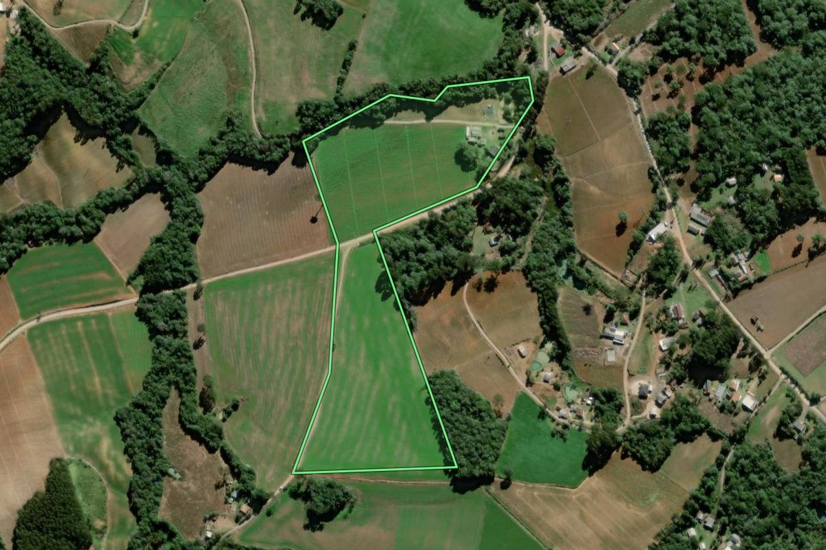Imagem de satélite do imóvel rural em Palmeira (PR), com o contorno declarado no CAR desenhado por cima.