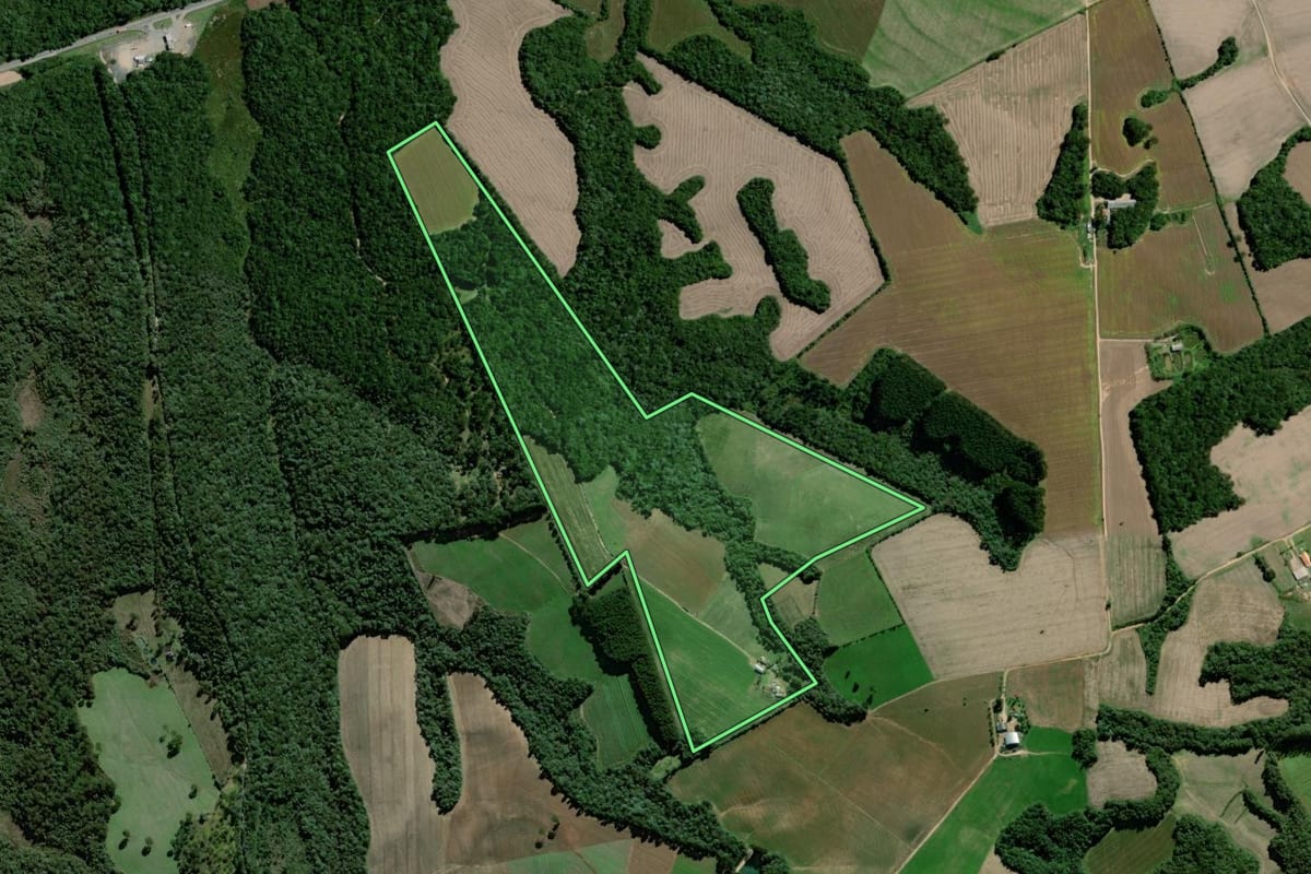 Imagem de satélite do imóvel rural em Palmeira (PR), com o contorno declarado no CAR desenhado por cima.