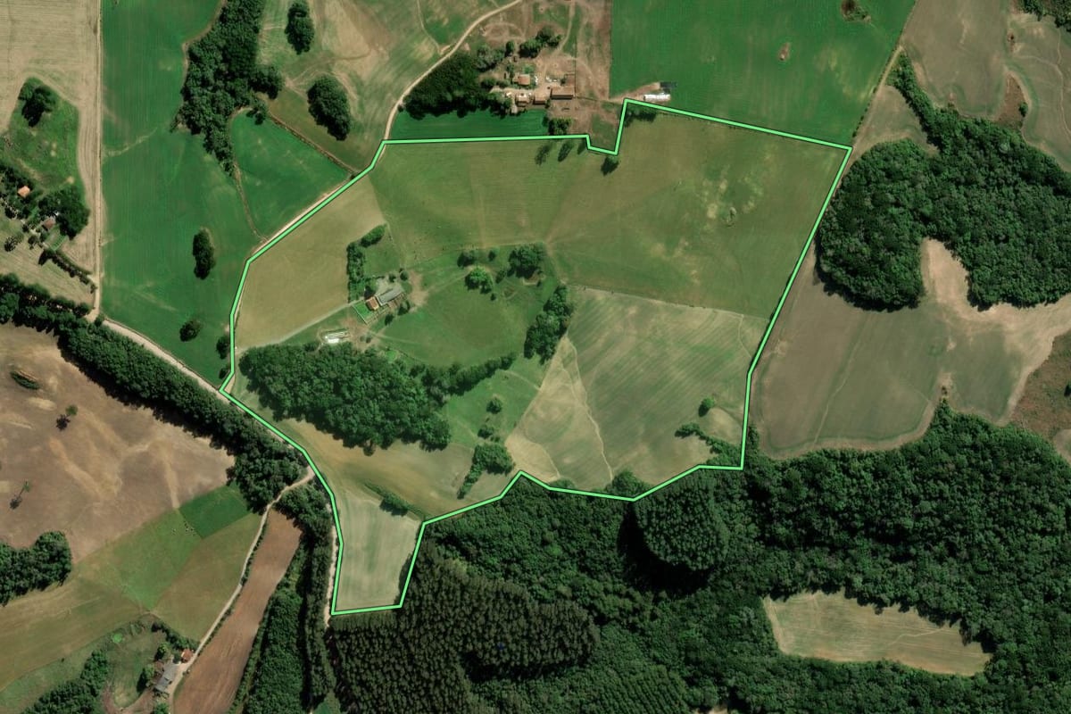 Imagem de satélite do imóvel rural em Palmeira (PR), com o contorno declarado no CAR desenhado por cima.
