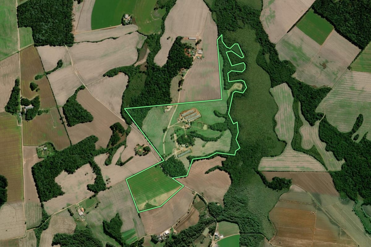 Imagem de satélite do imóvel rural em Palmeira (PR), com o contorno declarado no CAR desenhado por cima.