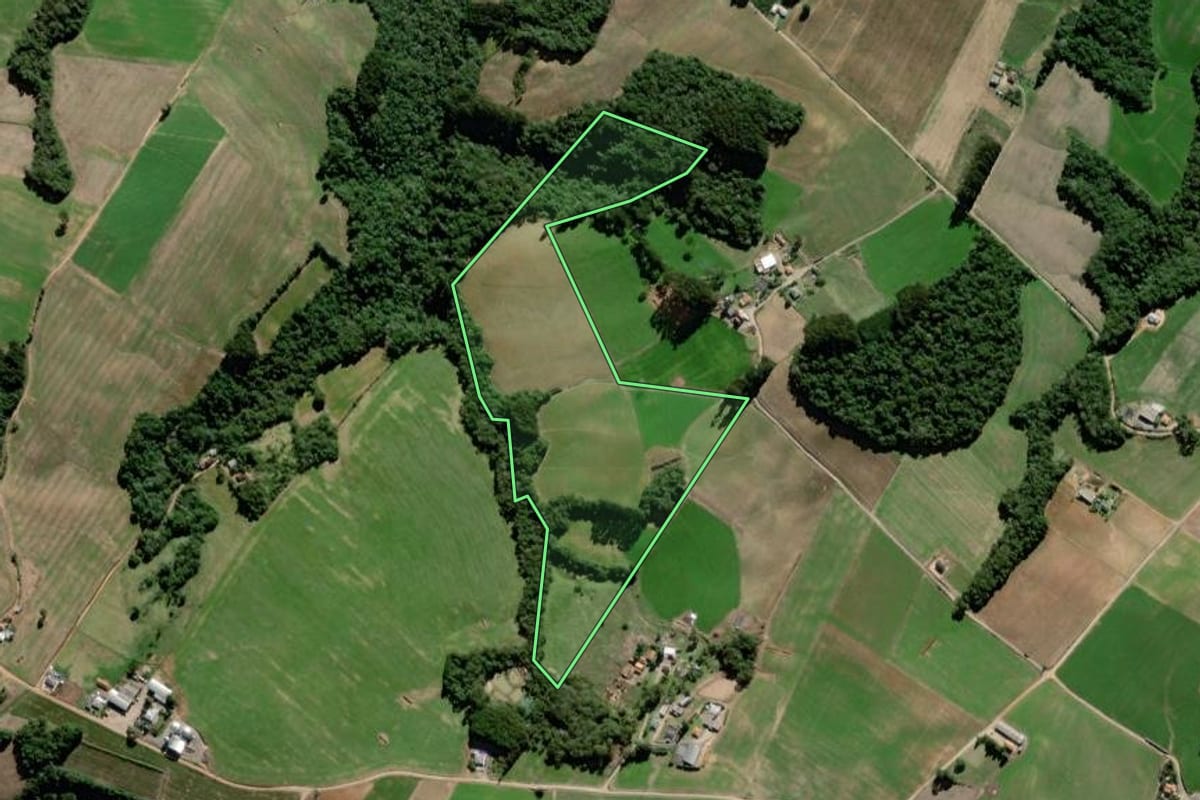 Imagem de satélite do imóvel rural em Palmeira (PR), com o contorno declarado no CAR desenhado por cima.