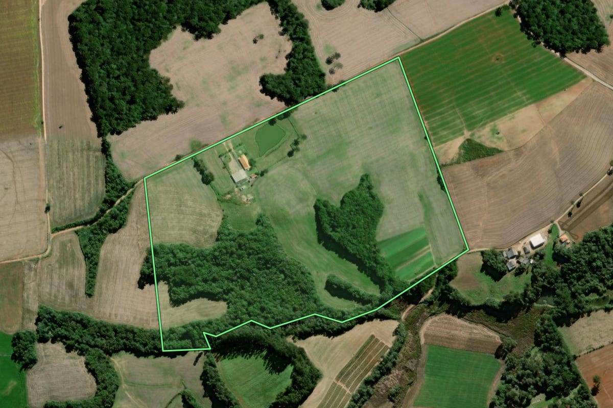 Imagem de satélite do imóvel rural em Palmeira (PR), com o contorno declarado no CAR desenhado por cima.