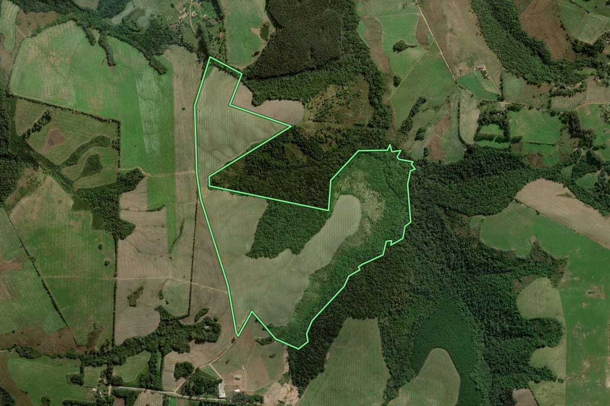 Imagem de satélite do imóvel rural em Palmeira (PR), com o contorno declarado no CAR desenhado por cima.