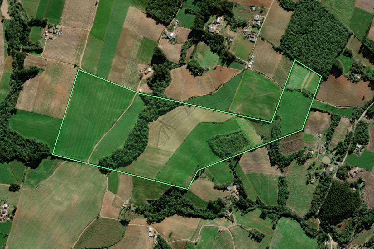 Imagem de satélite do imóvel rural em Palmeira (PR), com o contorno declarado no CAR desenhado por cima.