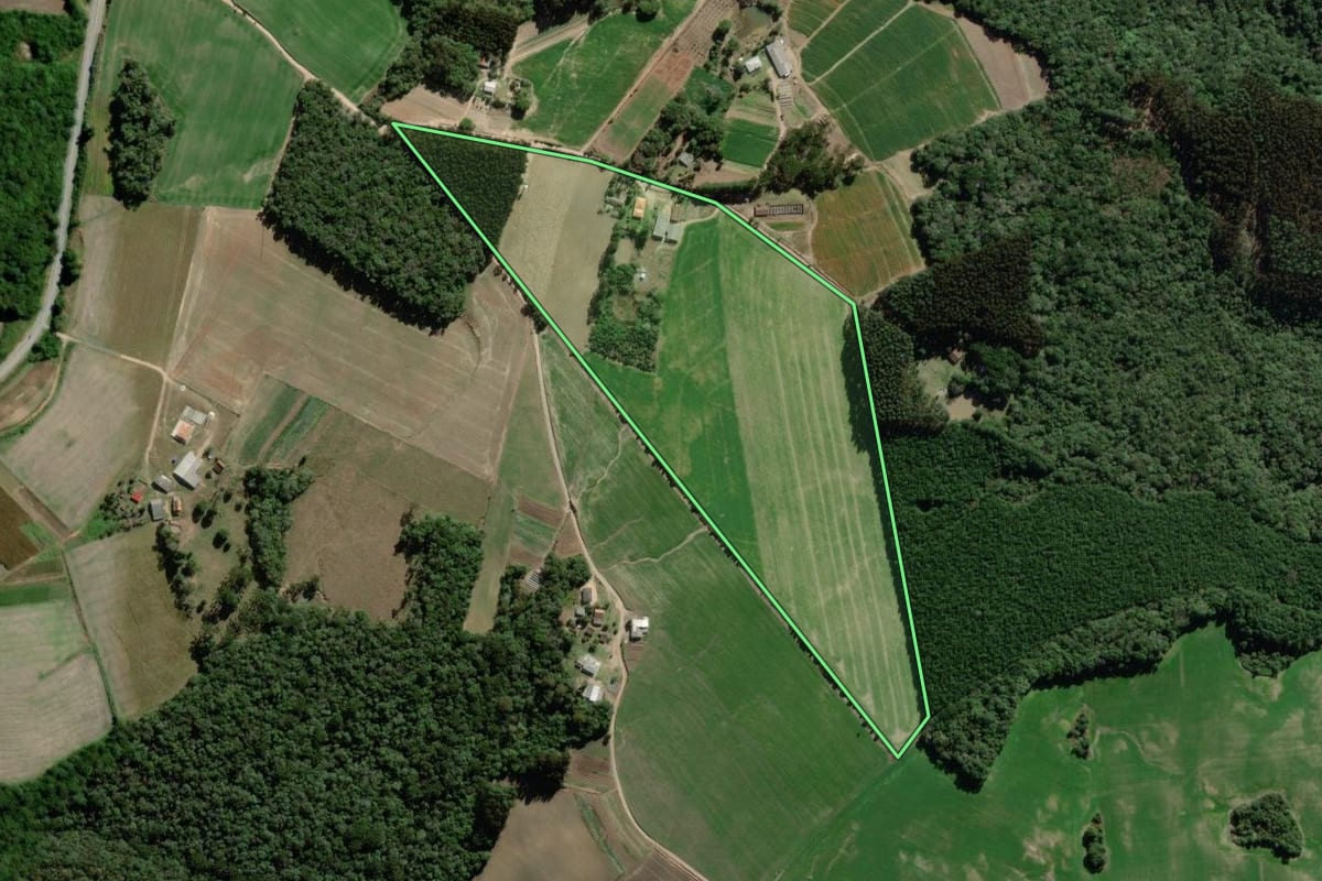 Imagem de satélite do imóvel rural em Palmeira (PR), com o contorno declarado no CAR desenhado por cima.